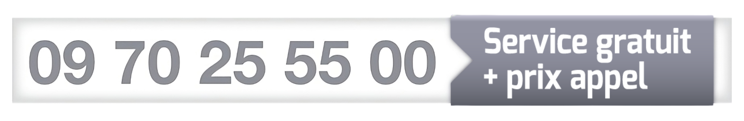 CESU fonction publique