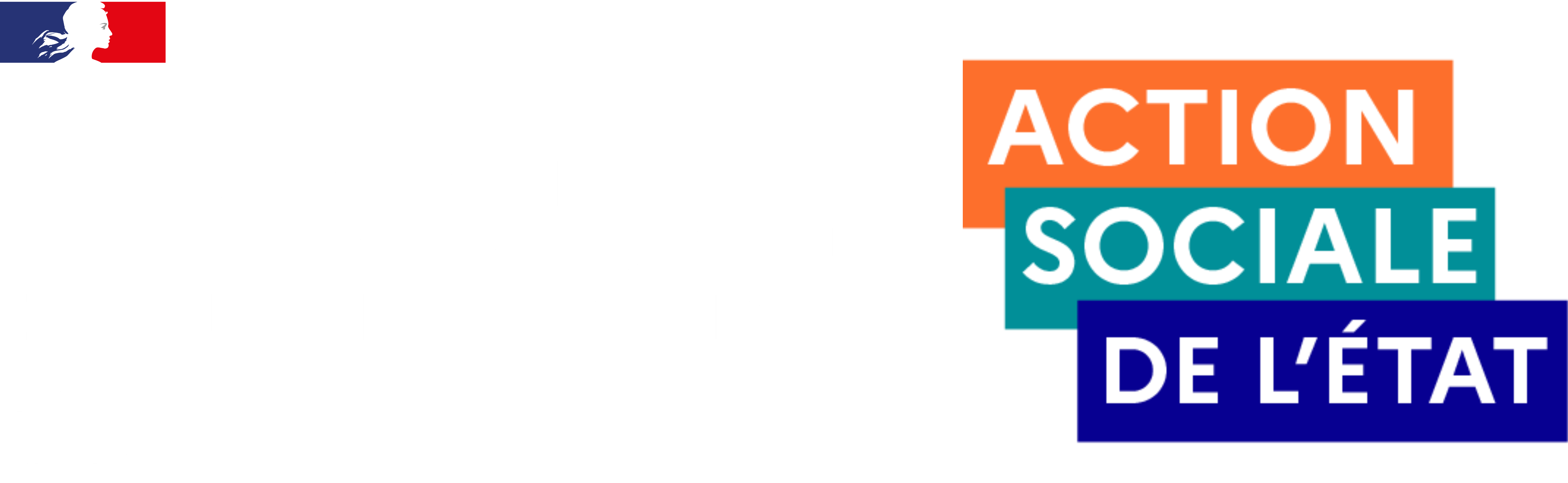 CESU fonction publique